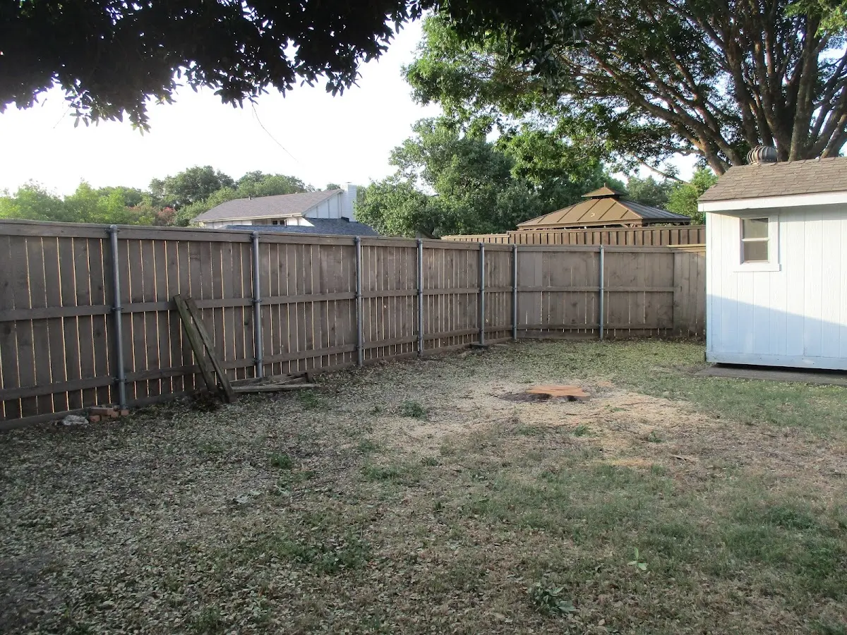 Cleared yard after professional tree removal in Kings Park